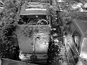 Autofriedhof - 143